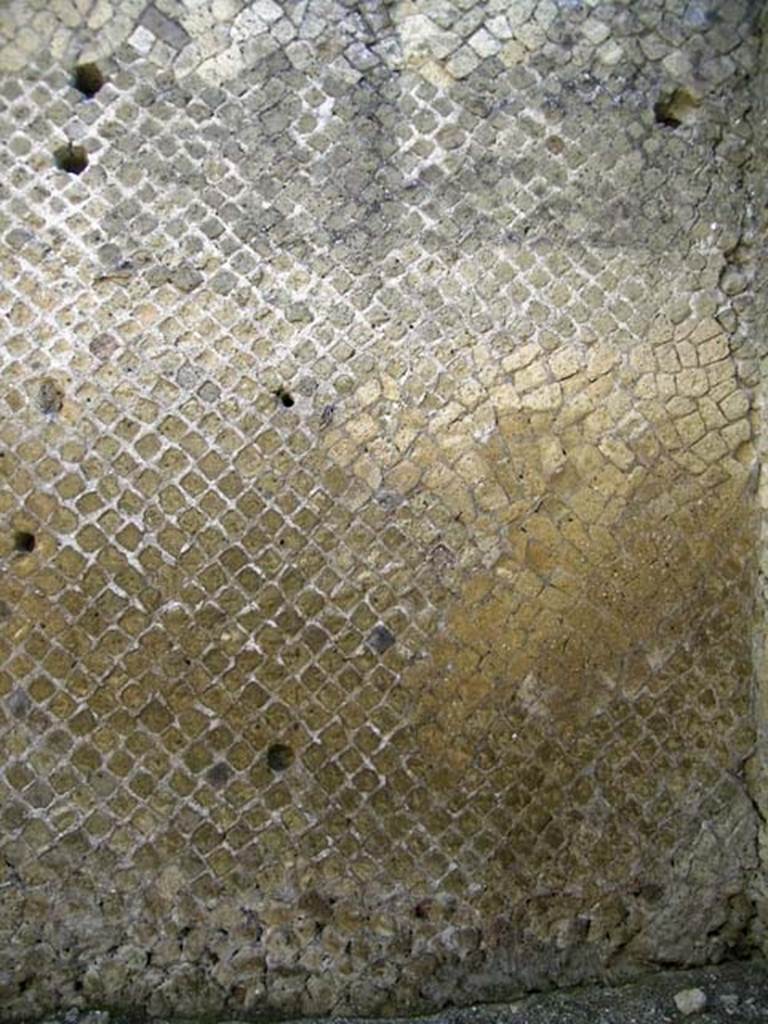 VI.10, Herculaneum. May 2004. Looking towards north wall.
Photo courtesy of Nicolas Monteix